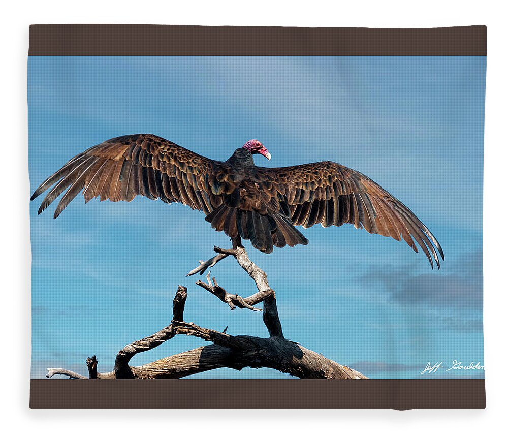 Adult Fleece Blanket featuring the photograph Turkey Vulture Perched in a Dead Tree by Jeff Goulden