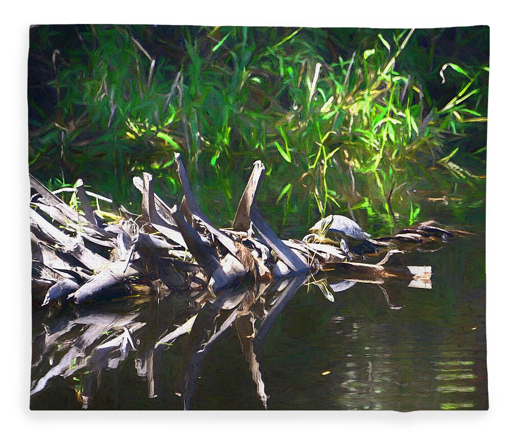 Turtle Fleece Blanket featuring the photograph Turtle Avenue by Alison Belsan Horton