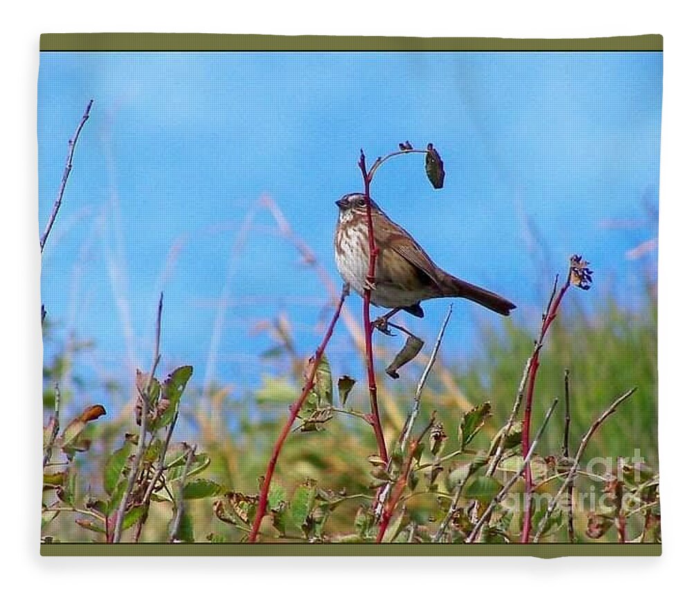 Birds Fleece Blanket featuring the photograph Twiggy Bird by Kimberly Furey