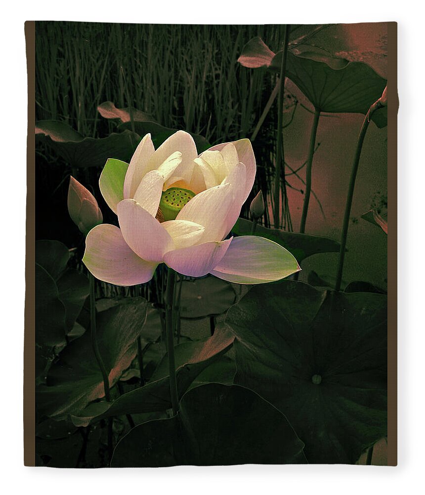 Lotus Fleece Blanket featuring the photograph Twilight Lotus by Jessica Jenney