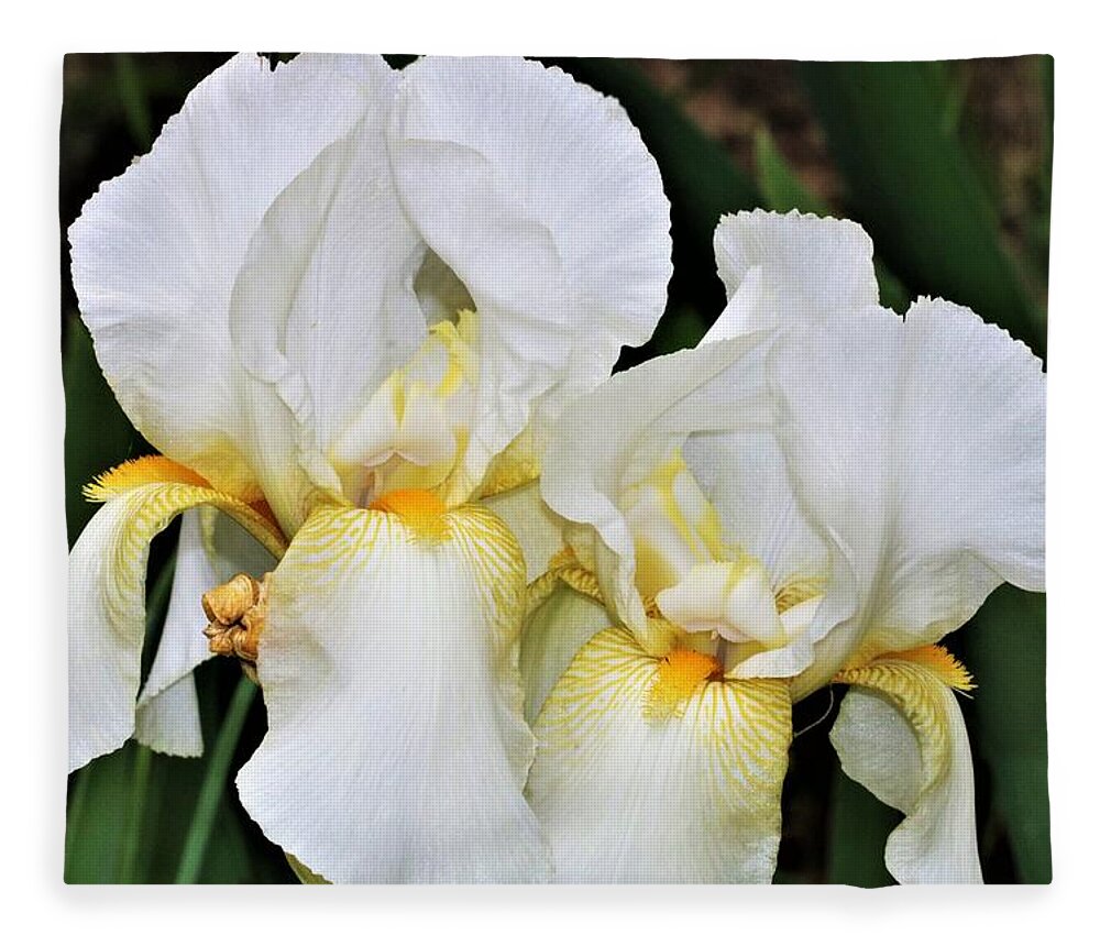 Nature Fleece Blanket featuring the photograph Two White Bearded Iris by Sheila Brown