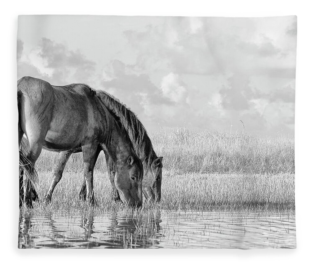 Wild Horses Of The Outer Banks Fleece Blanket featuring the photograph Two Wild Horses of the Outer Banks by Bob Decker