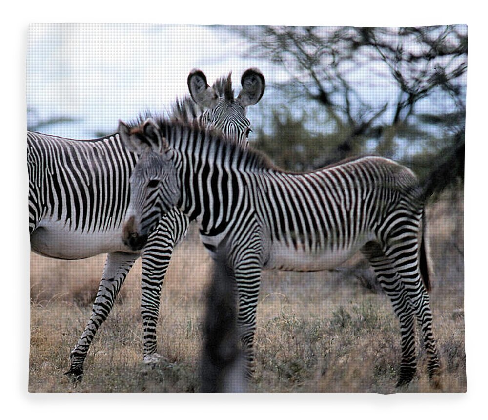 Zebra Fleece Blanket featuring the photograph Two Zebras by Russ Considine