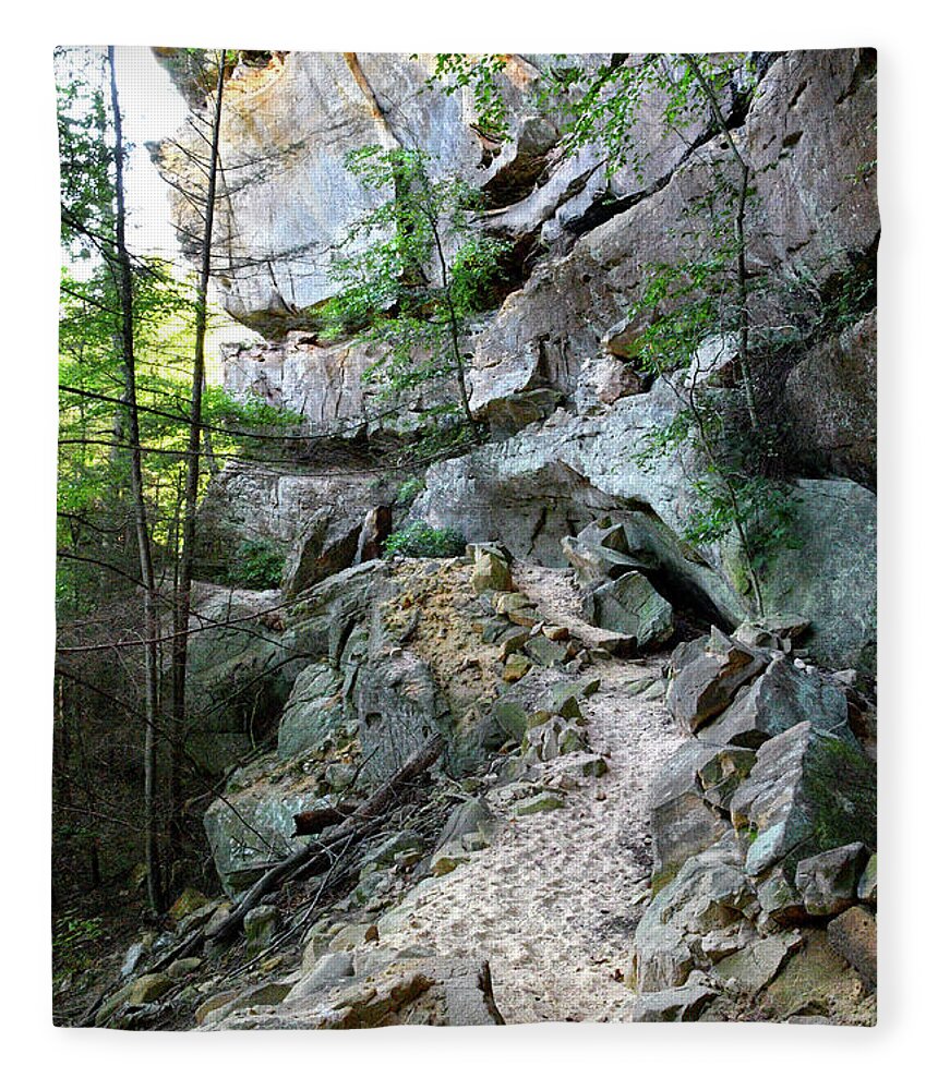 Pogue Creek Canyon Fleece Blanket featuring the photograph Unnamed Rock Face 7 by Phil Perkins
