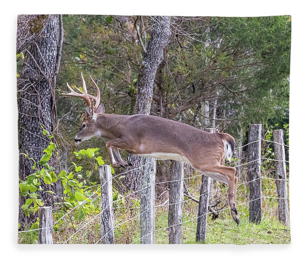  Fleece Blanket featuring the photograph Up and Over by Jim Miller