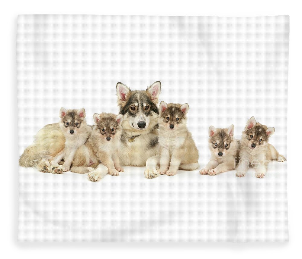 Utonagan Fleece Blanket featuring the photograph Utonagan Mother with Five Puppies by Warren Photographic