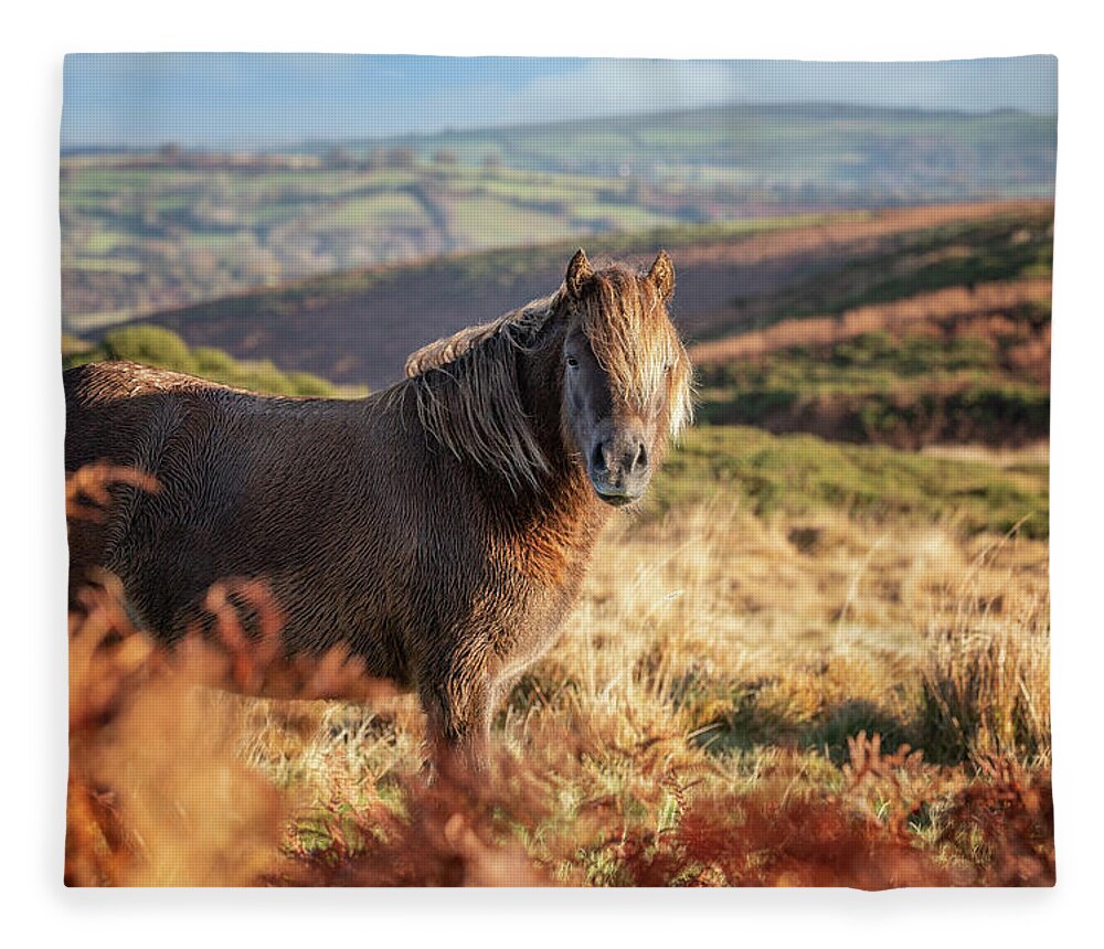 Horse Fleece Blanket featuring the photograph Vaughn - Horse Art by Lisa Saint