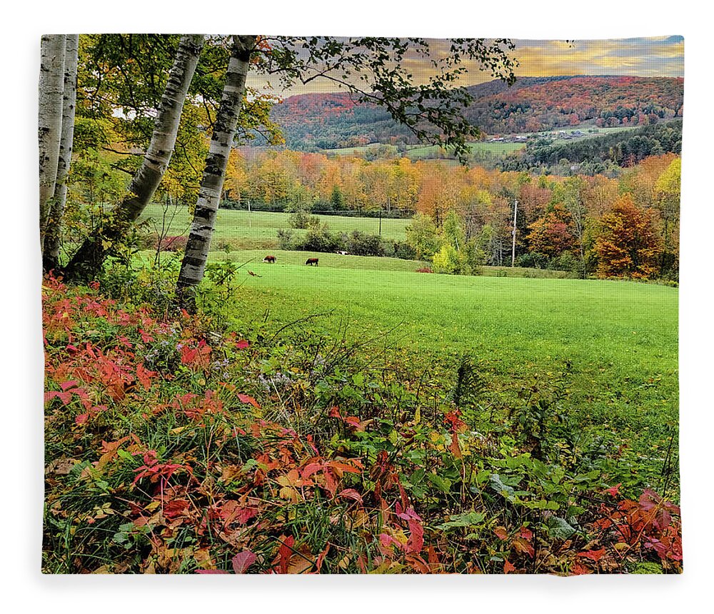 1902 Maple Grove Farm Fleece Blanket featuring the photograph Vermont Morning on the Farm by Jeff Folger