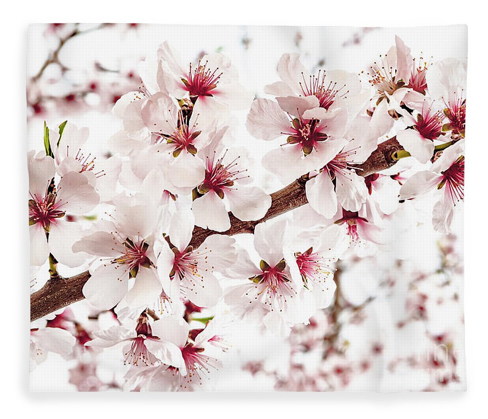 Almond Fleece Blanket featuring the photograph Vibrant Almond Blossoms In Springtime by Andreas Berthold