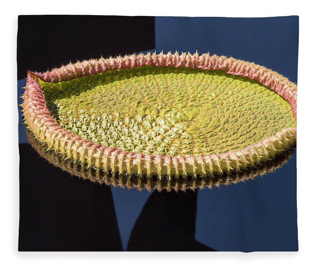 Water Fleece Blanket featuring the photograph Victoria Water Lily by Jurgen Lorenzen