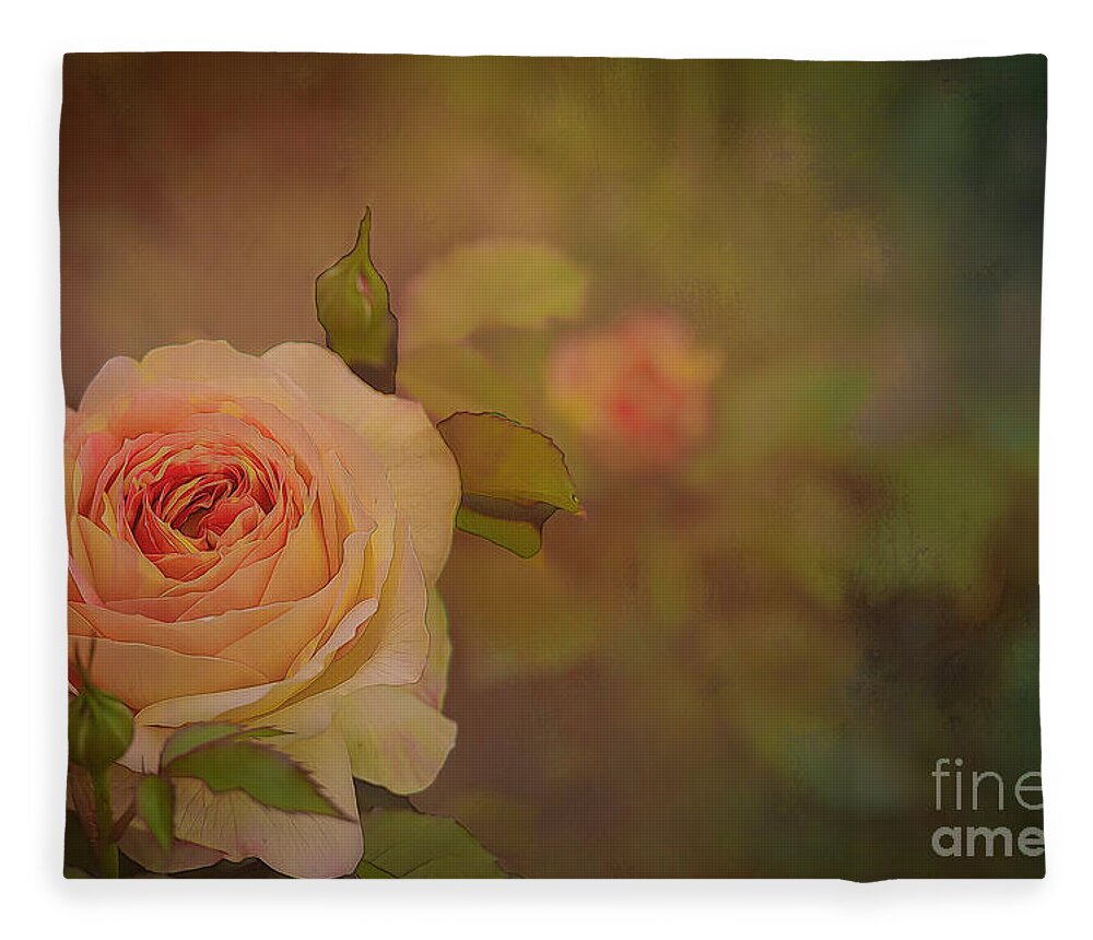 Rose Fleece Blanket featuring the photograph Victorian Rose by Shelia Hunt