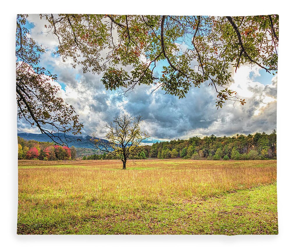 Appalachia Fleece Blanket featuring the photograph View from Sparks Lane at Cades Cove Townsend Tennessee by Debra and Dave Vanderlaan