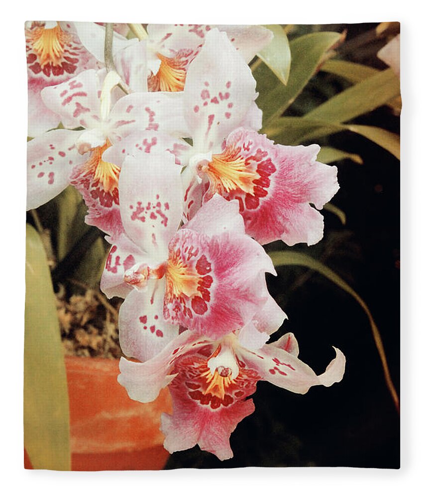 Pink Fleece Blanket featuring the photograph Vintage Orchids by Carolyn Stagger Cokley
