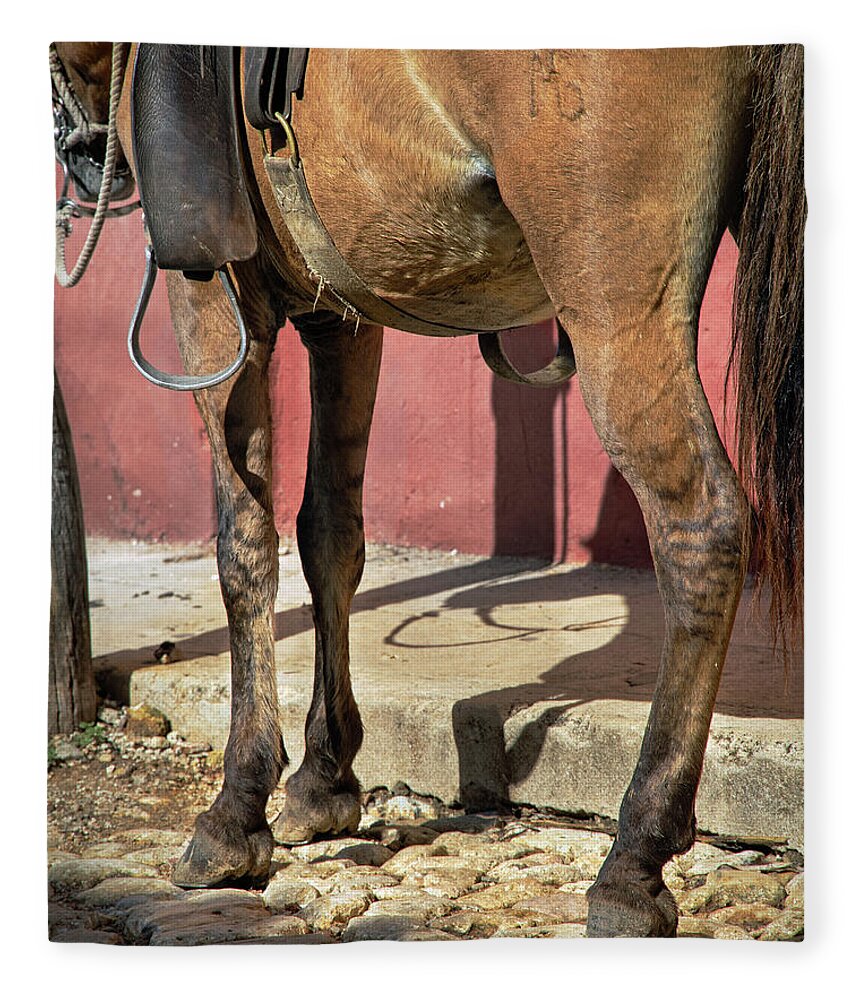 Horse Fleece Blanket featuring the photograph Waiting by M Kathleen Warren