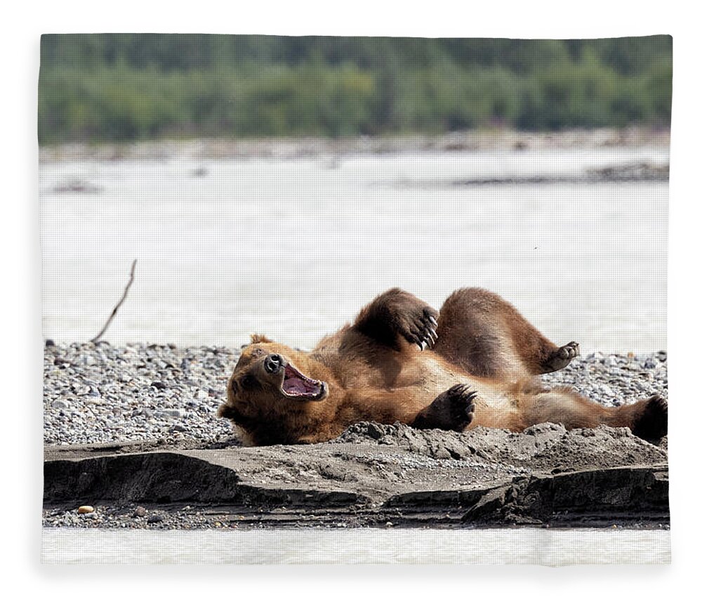Alaska Fleece Blanket featuring the photograph Waking up on the Sandbar by Cheryl Strahl