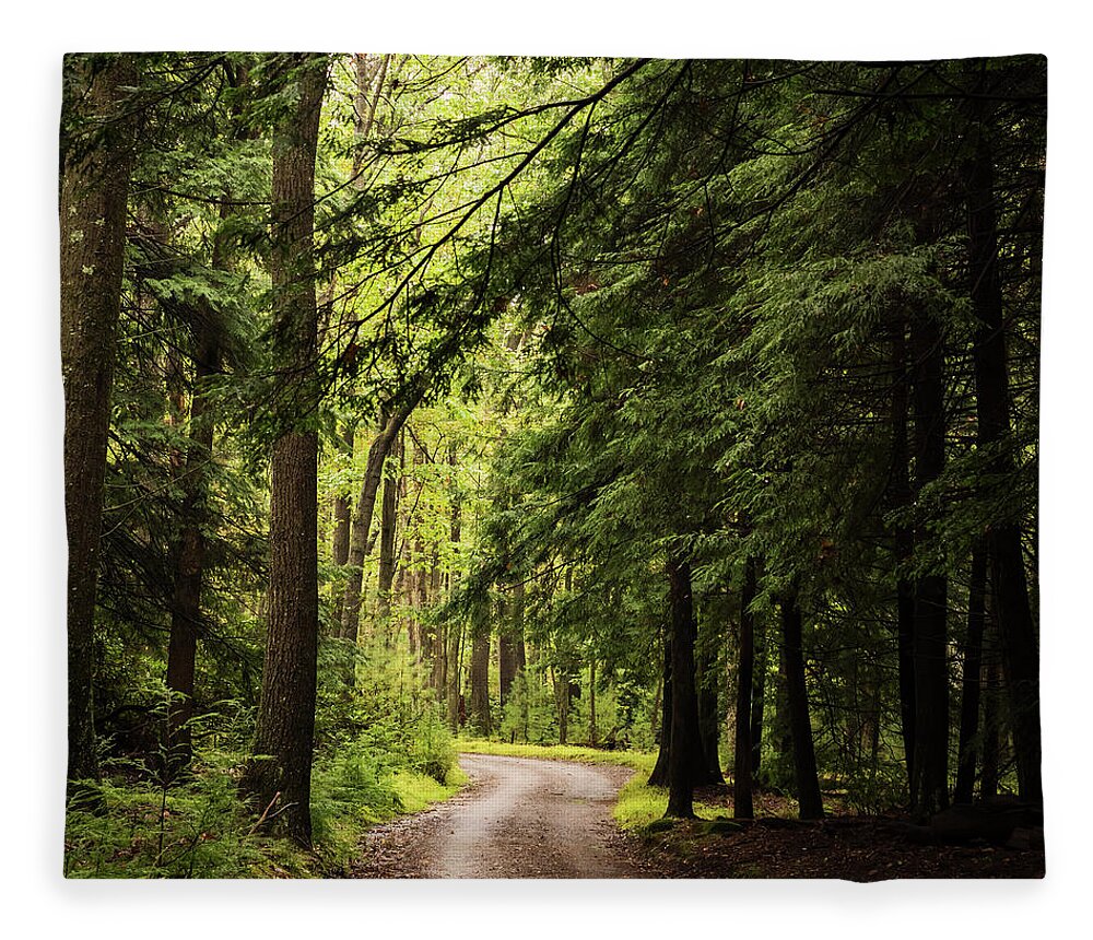 Terry D Photography Fleece Blanket featuring the photograph Walk In The Forest Cooksburg, PA by Terry DeLuco