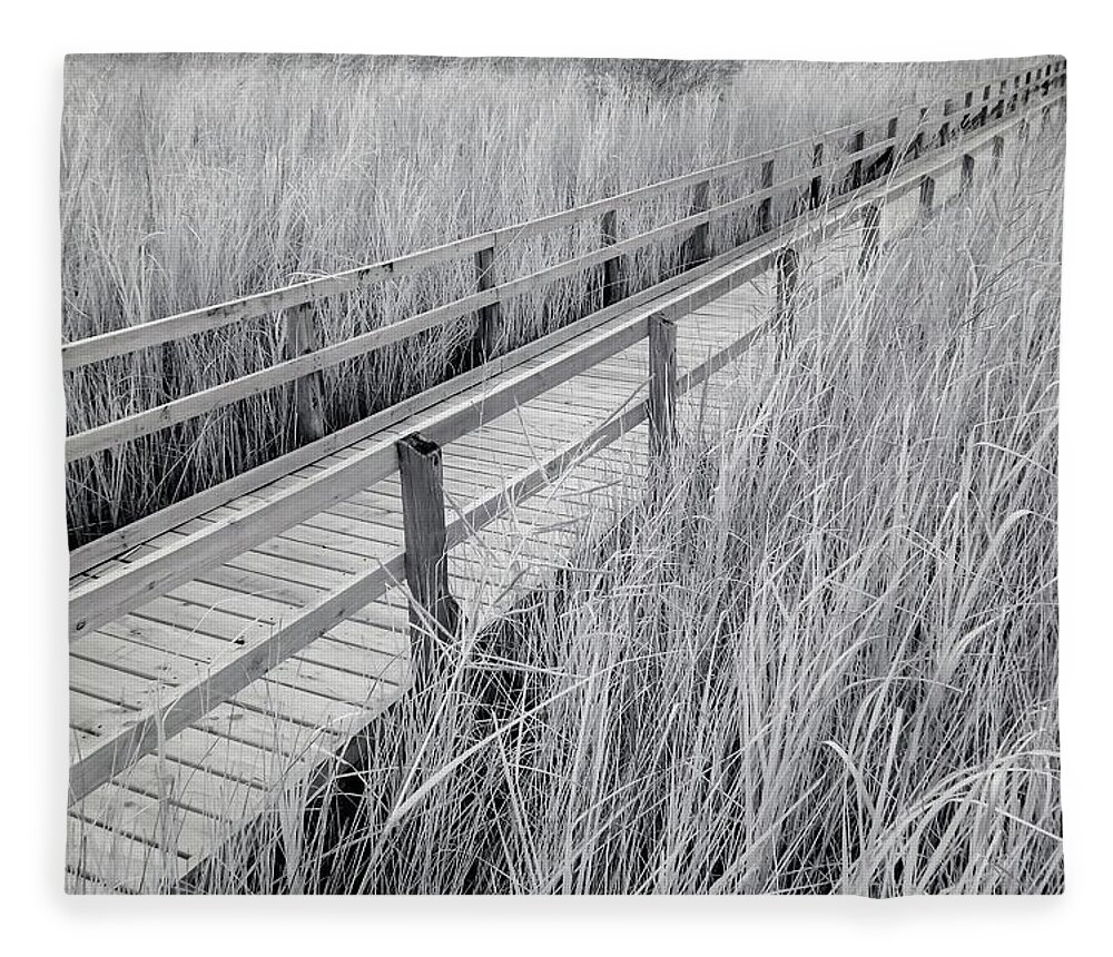 Architecture Fleece Blanket featuring the photograph Walk Through the Marsh Infrared by Liza Eckardt