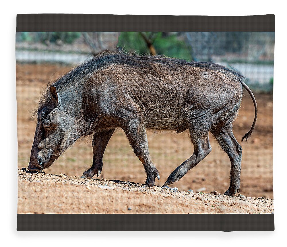  Fleece Blanket featuring the photograph Warthog by Al Judge