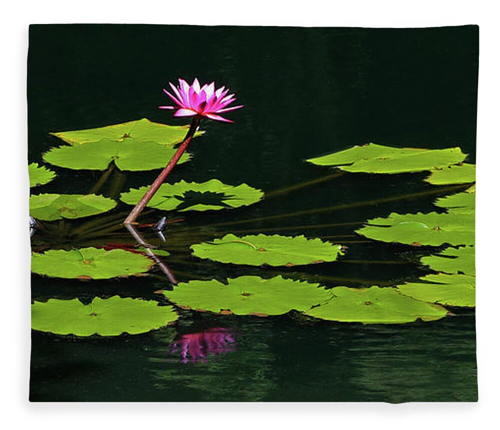 Water Lily Fleece Blanket featuring the photograph Water Lily 4 by Richard Krebs