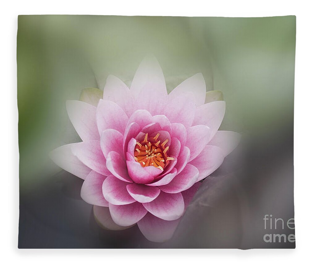 Lotus Fleece Blanket featuring the photograph Water Lotus Flower by Elaine Teague