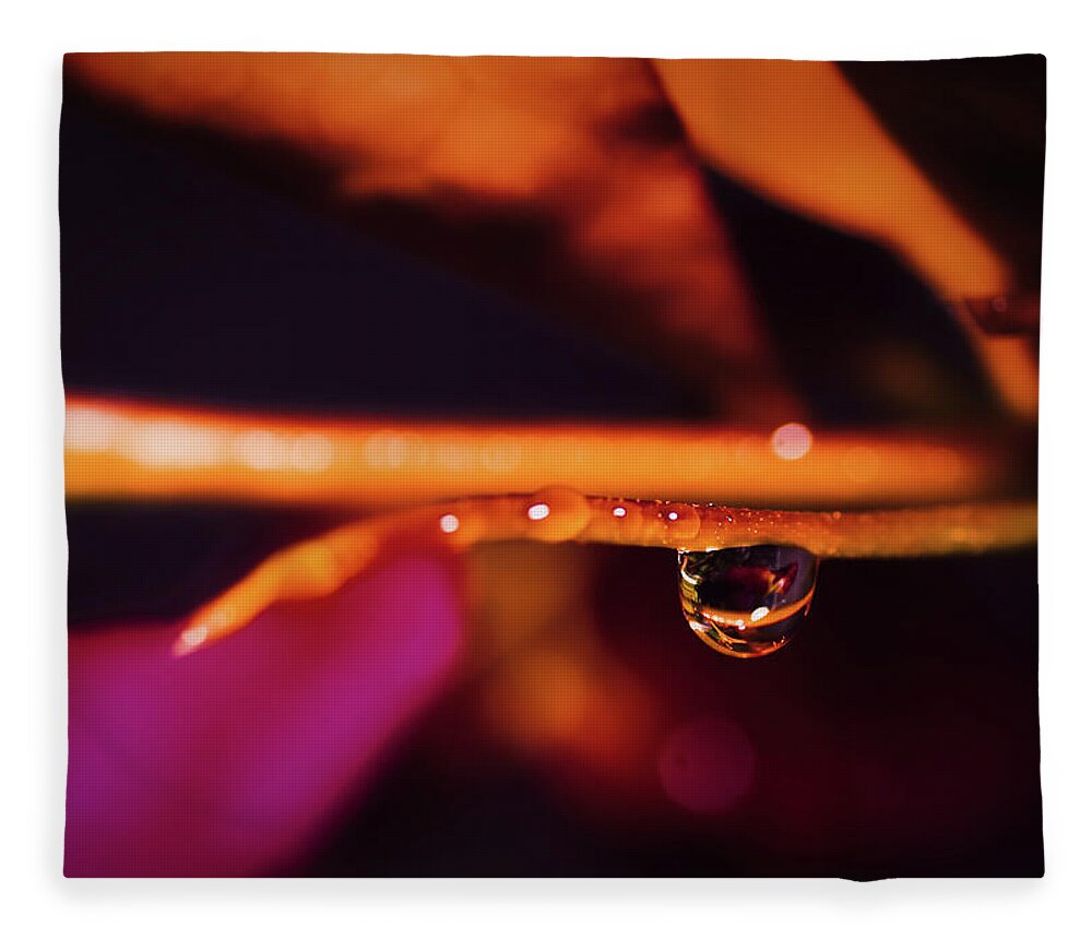 Macro Photography Art Fleece Blanket featuring the photograph Water on The Vine by Gian Smith