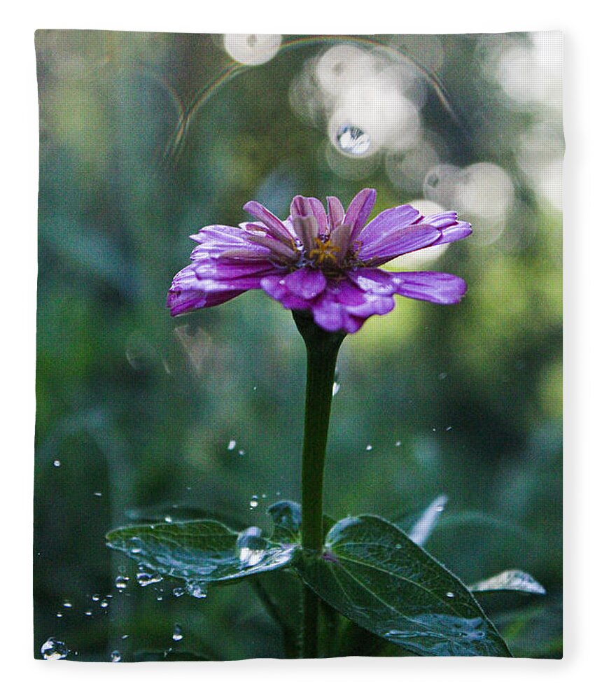 Waterdrops Fleece Blanket featuring the photograph Waterdrops and a Pink Common Zinnia by W Craig Photography