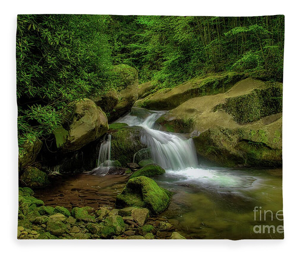 Waterfall Fleece Blanket featuring the photograph Waterfall in Cherokee National Forest by Shelia Hunt