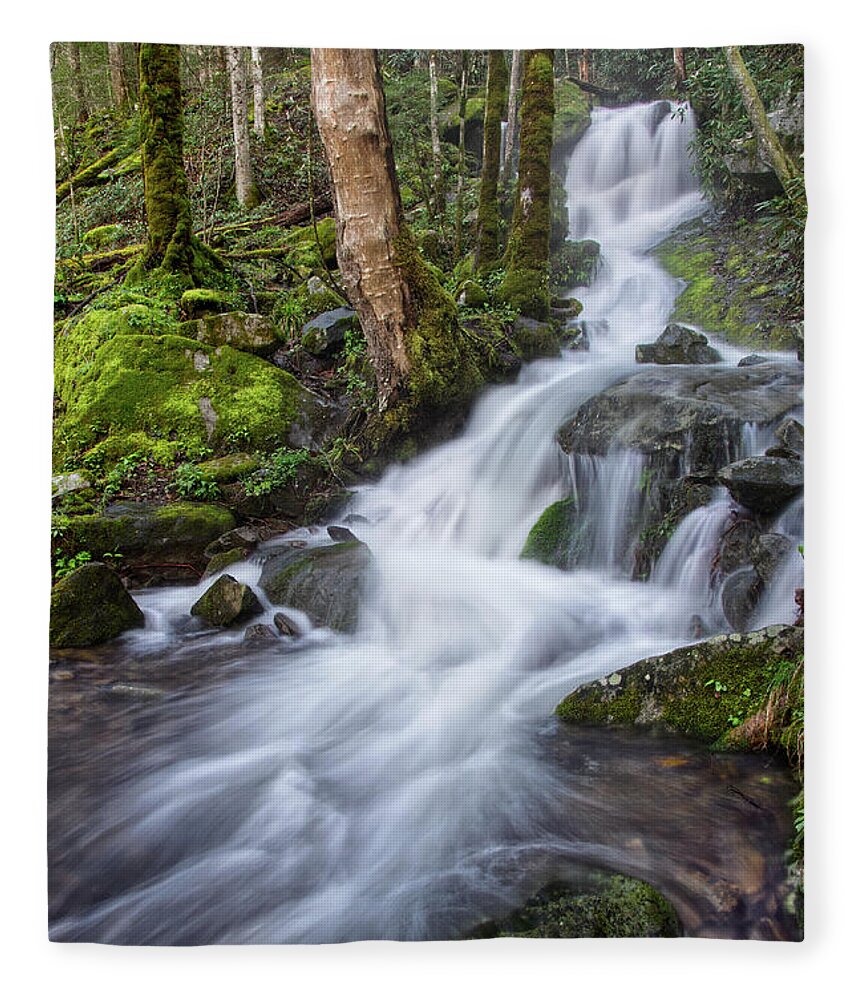 Tremont Fleece Blanket featuring the photograph Waterfall In The Smokies 3 by Phil Perkins