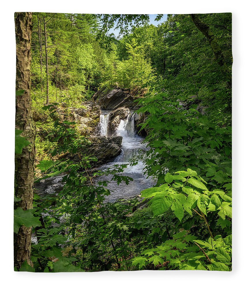 Adventure Fleece Blanket featuring the photograph Waterfall in the Woods by Mike Whalen