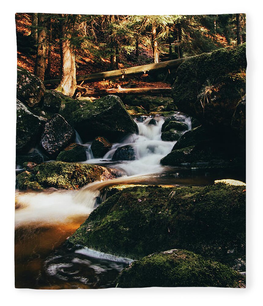 Jizera Mountains Fleece Blanket featuring the photograph Sunny waterfall in the Jizera Mountains, Czech Republic by Vaclav Sonnek