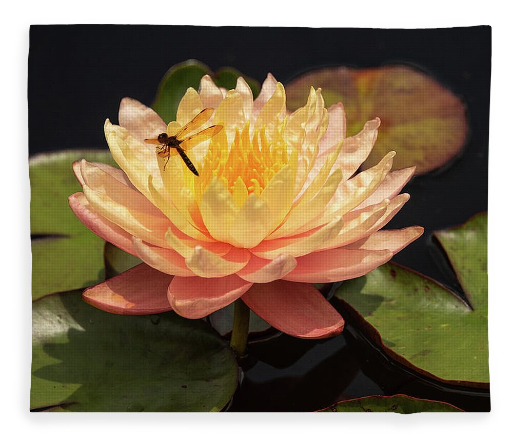 Flowers Fleece Blanket featuring the photograph Waterlily by Minnie Gallman