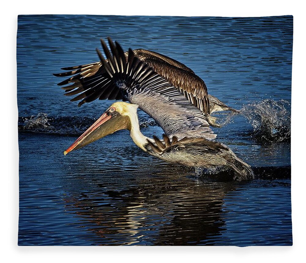 Brown Pelican Fleece Blanket featuring the photograph We Have Liftoff by Ronald Lutz