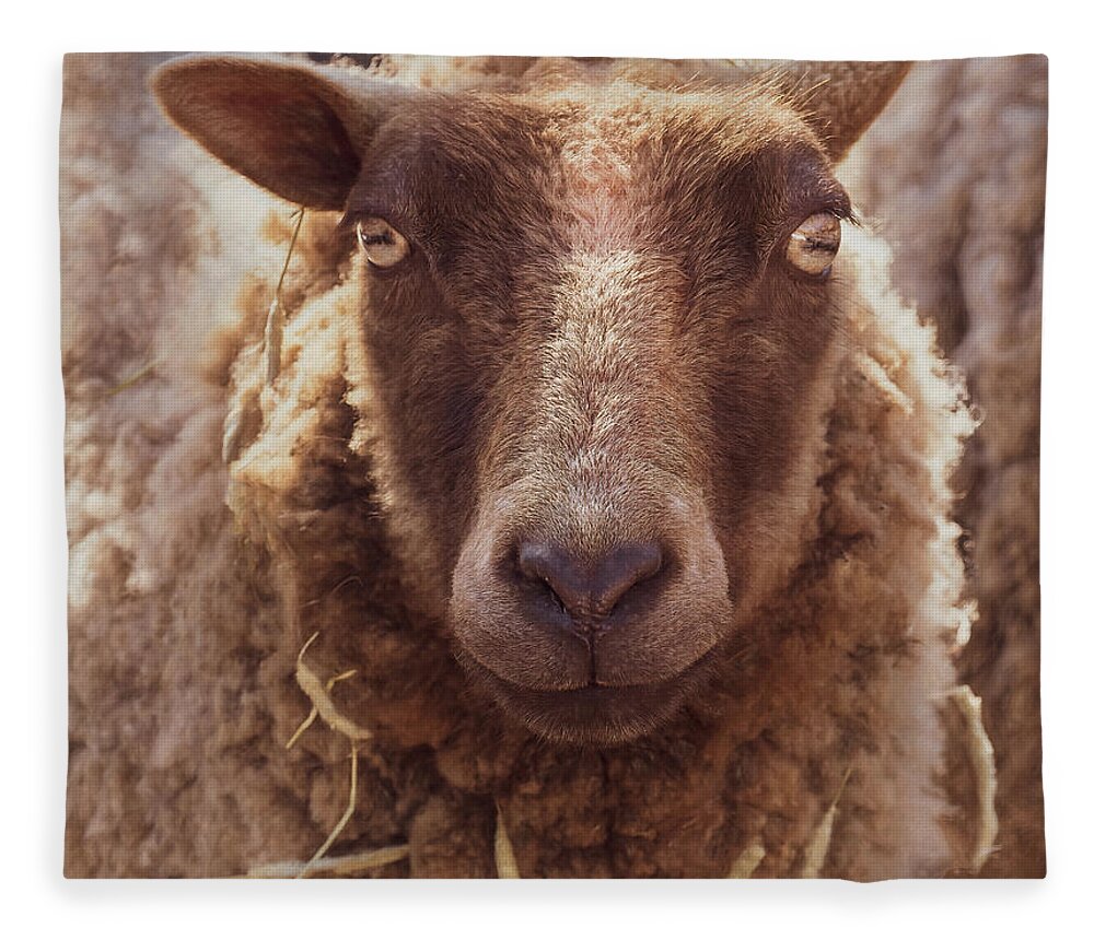 Farm Animal Fleece Blanket featuring the photograph Well Hello There by Sylvia Goldkranz