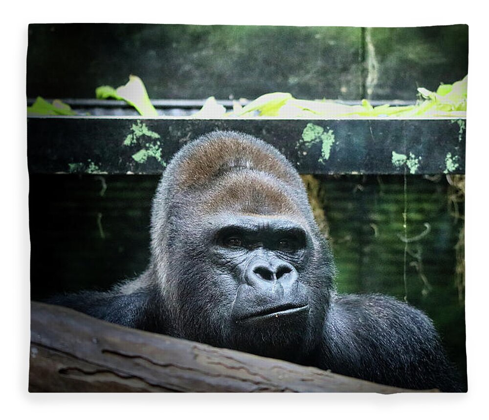 Western Gorilla Fleece Blanket featuring the photograph Western Gorilla by Scott Burd