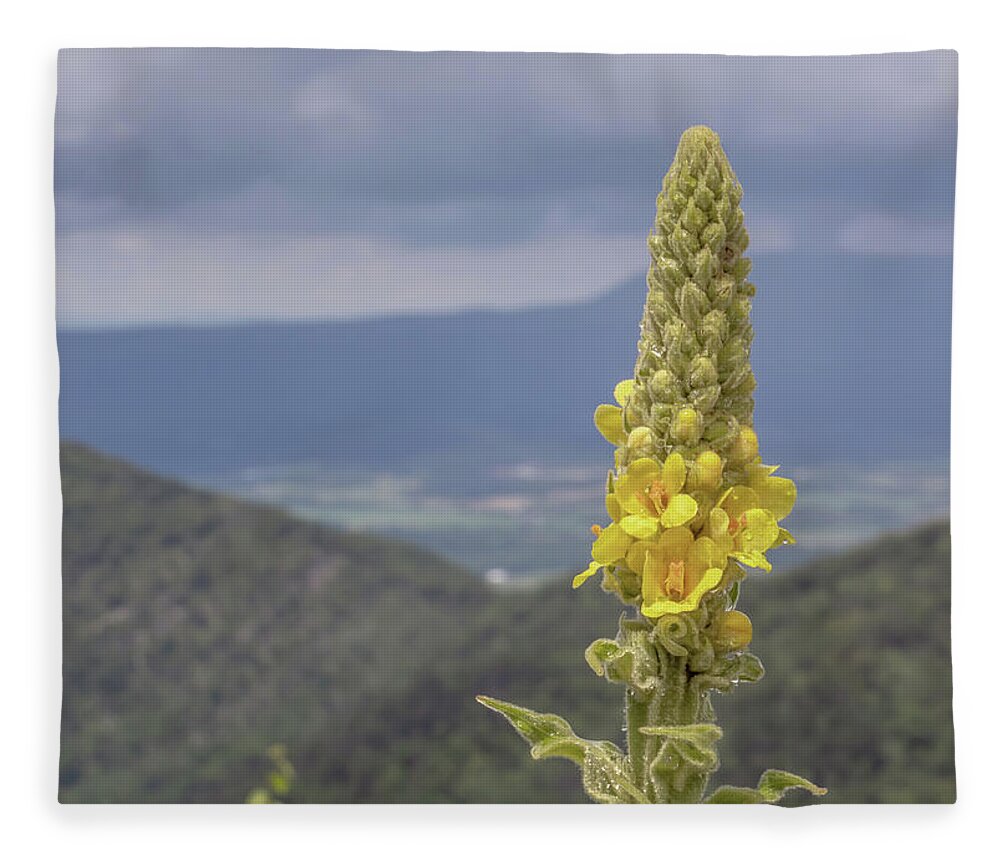 Flower Fleece Blanket featuring the photograph Wet and Woolly - Shenandoah National Park by Susan Rissi Tregoning