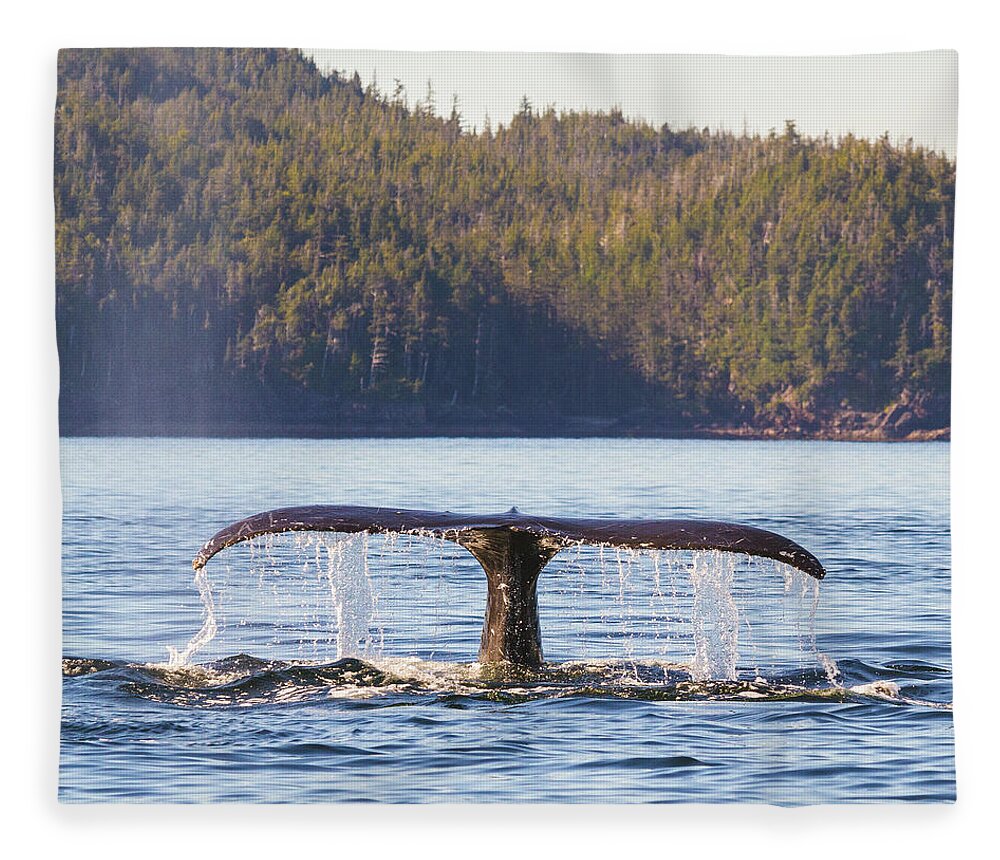 Whale Tale Fleece Blanket featuring the photograph Whale Tale 2 by Michael Rauwolf