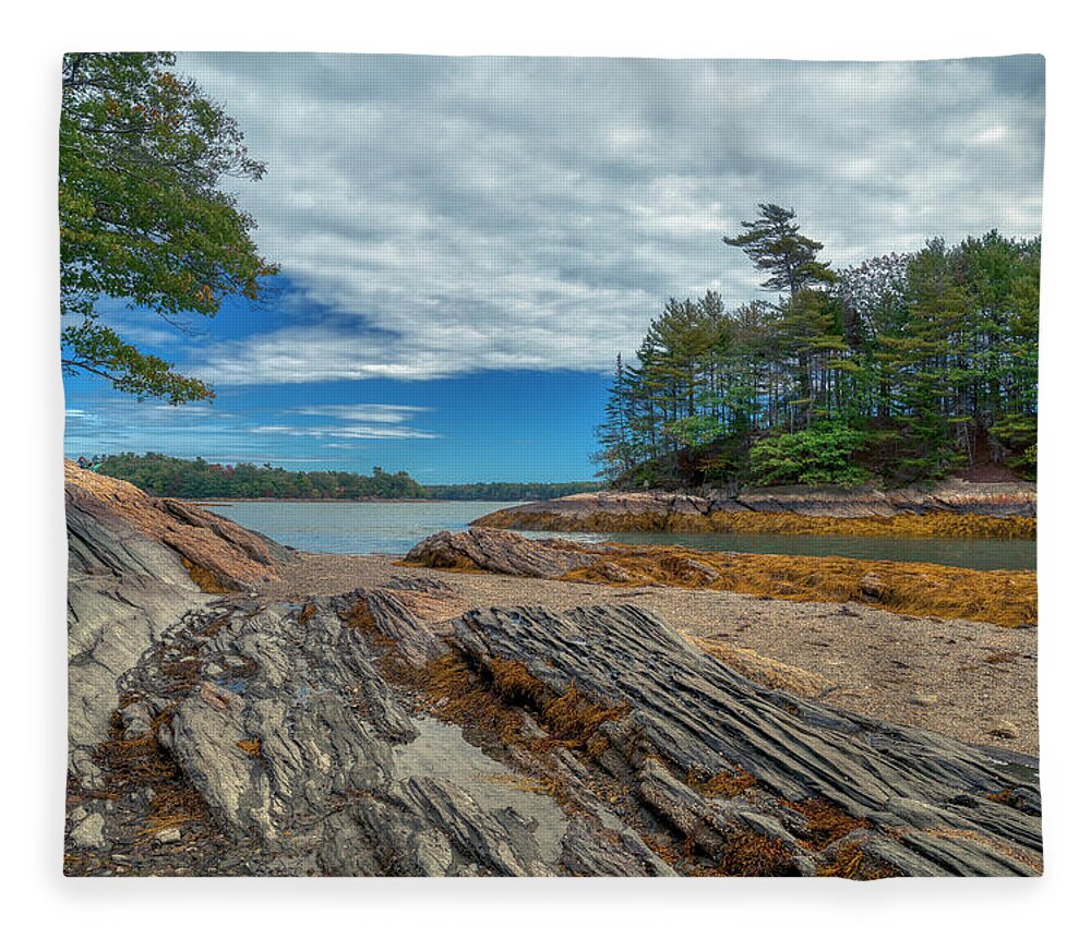 Wolfe Neck Woods State Park Fleece Blanket featuring the photograph What a View by Penny Polakoff