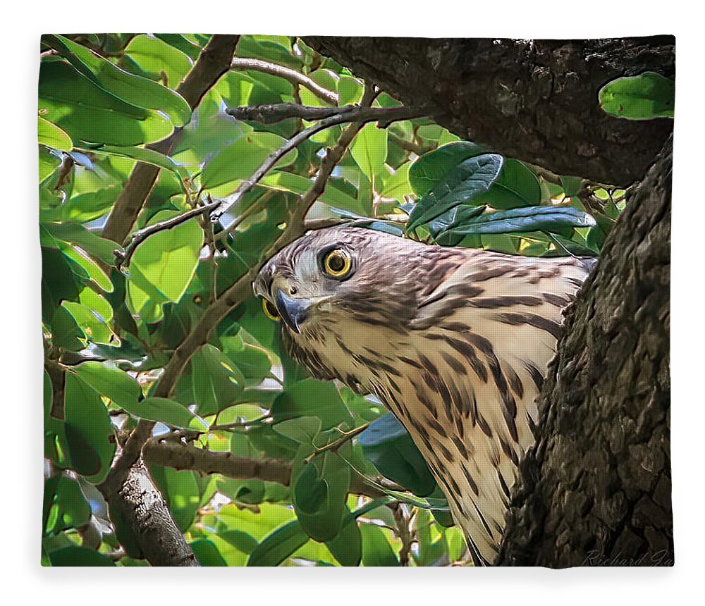 Osprey Fleece Blanket featuring the photograph What Is Out There? by Richard Goldman