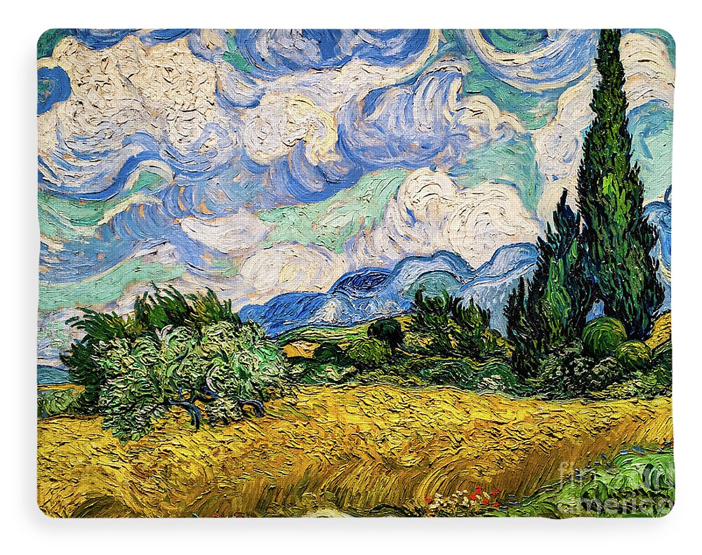 a wheatfield with cypresses