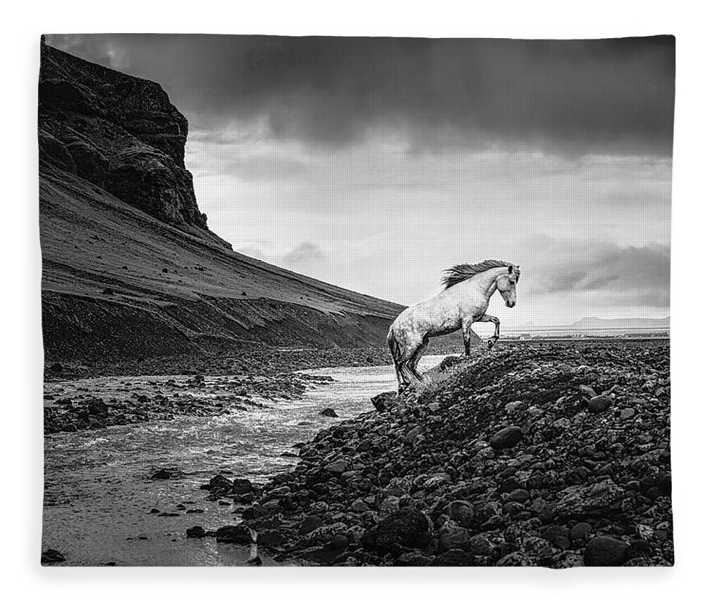 Icelandic Horse Fleece Blanket featuring the photograph Where there is no path II - Horse Art by Lisa Saint