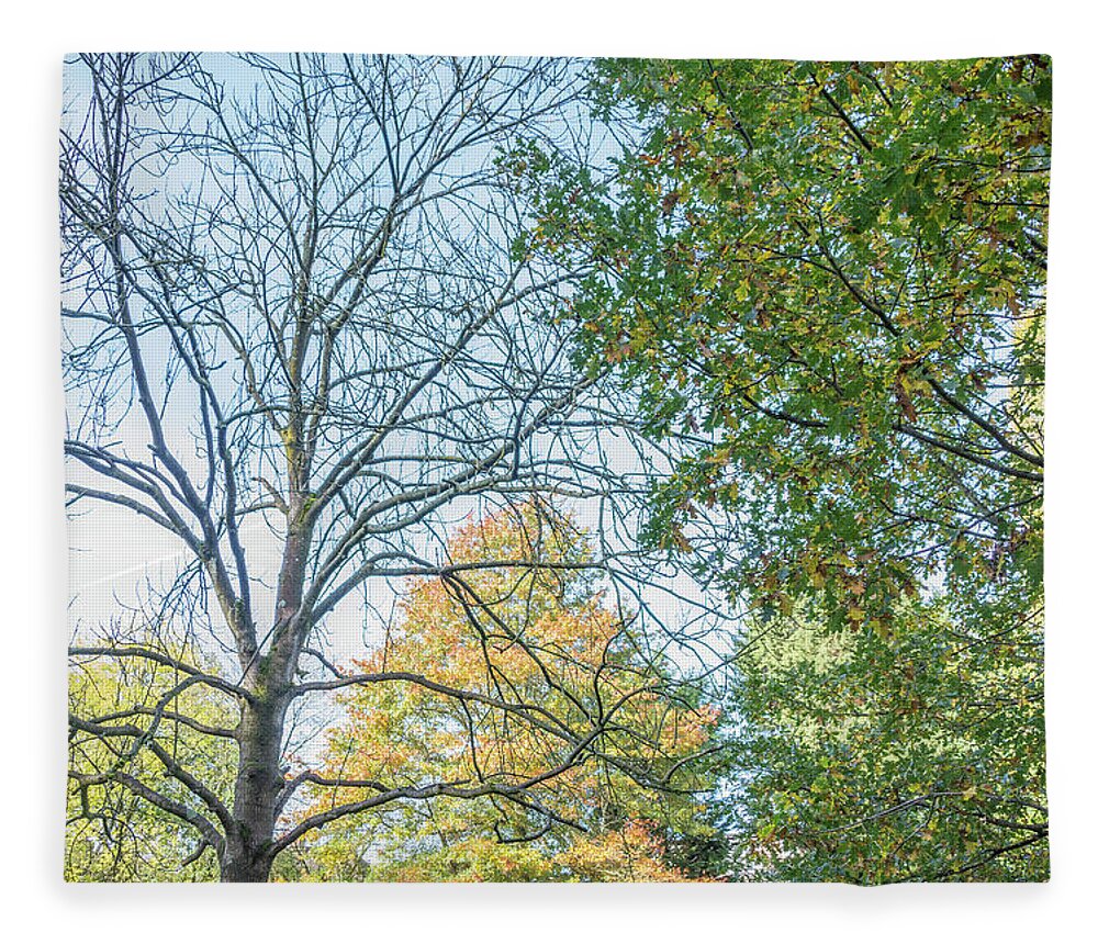 Whetstone Stray Fleece Blanket featuring the photograph Whetstone Stray Trees Fall 16 by Edmund Peston