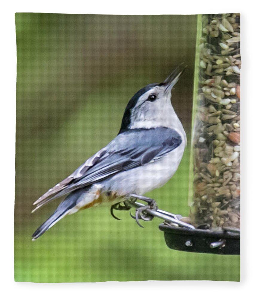 Print Fleece Blanket featuring the photograph White Breasted Nuthatch by Gerri Bigler