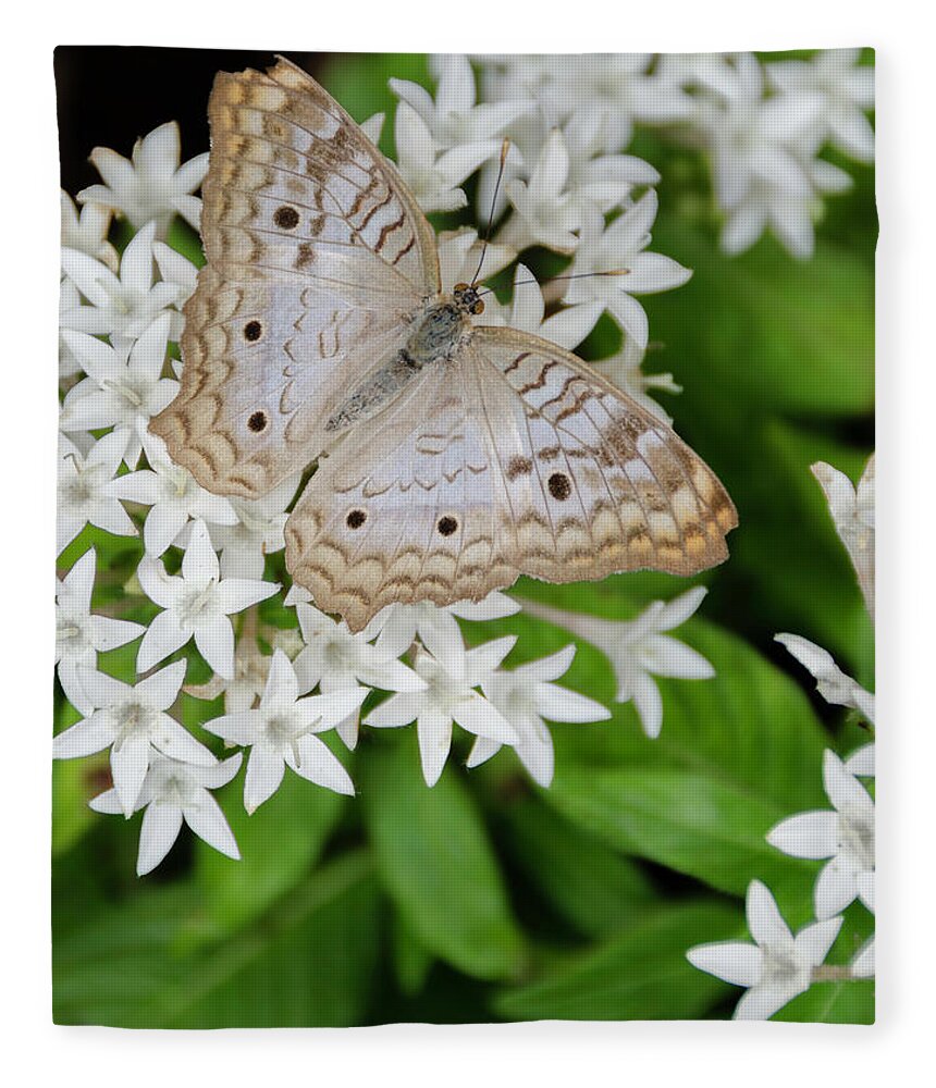 Butterfly Fleece Blanket featuring the photograph White Butterfly on White Flowers by WAZgriffin Digital