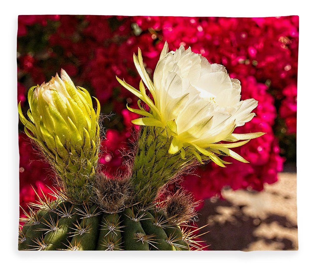 Cactus Fleece Blanket featuring the photograph White Cactus Bloom 2020 by Sandra Selle Rodriguez