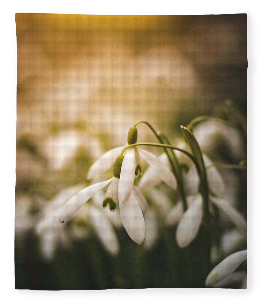 Europe Fleece Blanket featuring the photograph White common snowdrop - prank of nature by Vaclav Sonnek
