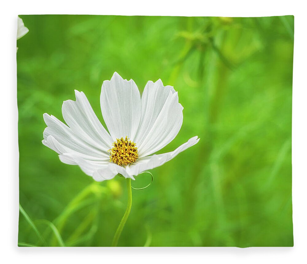 Serene Fleece Blanket featuring the photograph White Cosmos 1 by Marianne Campolongo