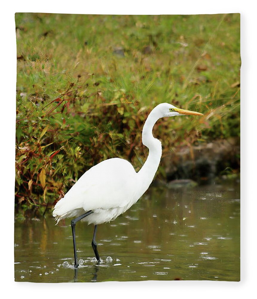 Animal Fleece Blanket featuring the photograph White Egret by Lens Art Photography By Larry Trager