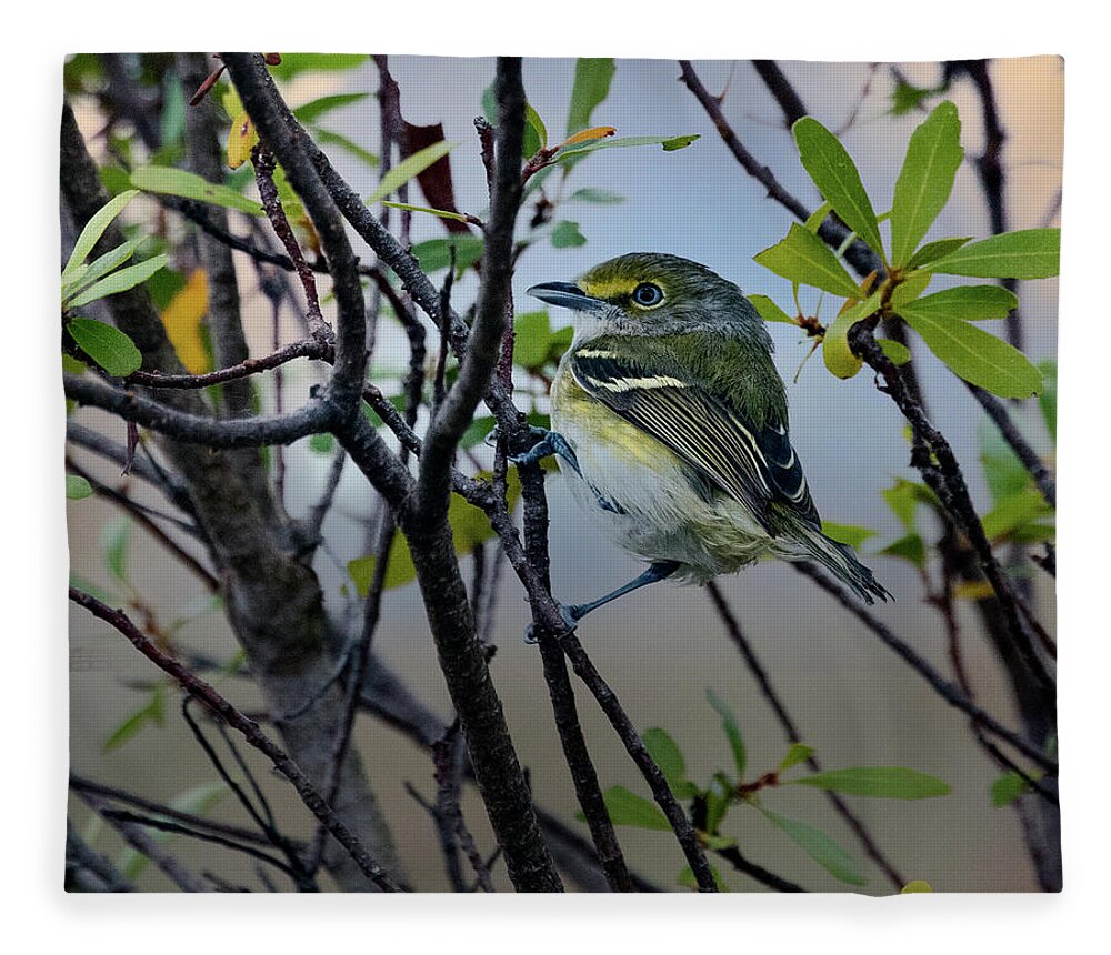 Vireo Fleece Blanket featuring the photograph White-eyed Vireo by Jaki Miller