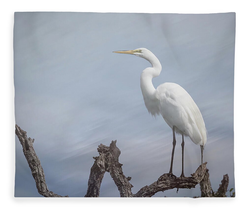 White Great Egret Fleece Blanket featuring the photograph White Great Egret - Standing Tall by Sylvia Goldkranz