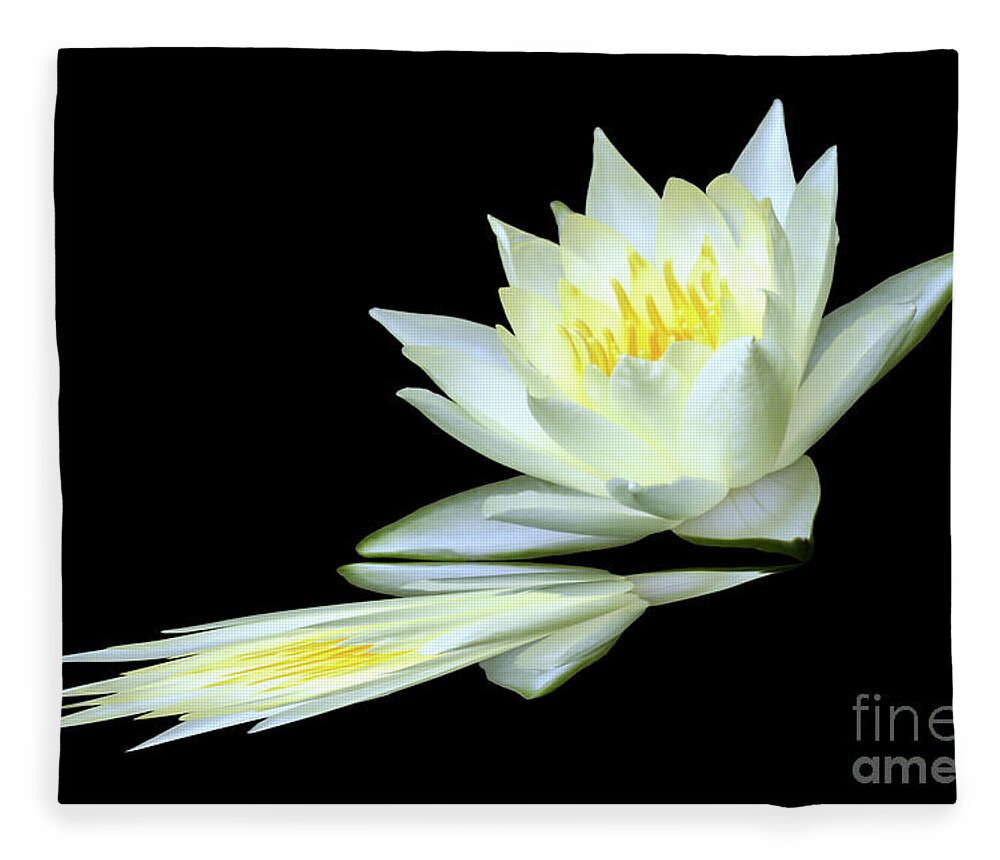 Water Lily; Water Lilies; Lily; Lilies; Flowers; Flower; Floral; Flora; White; Yellow; Black; Reflection; Digital Art; Photography; Painting; Simple; Decorative; Décor; Macro; Close-up Fleece Blanket featuring the photograph White Lily Reflection by Tina Uihlein